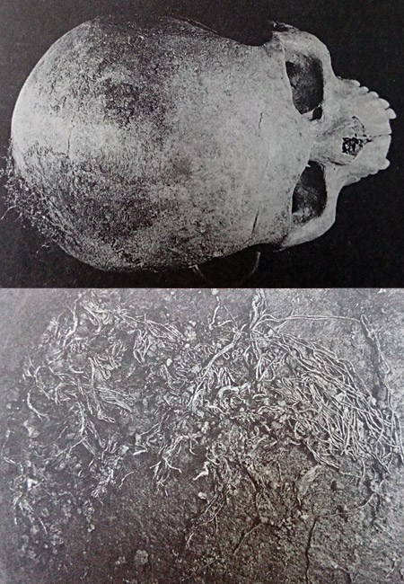 некропол Янтра - череп от гроб №100